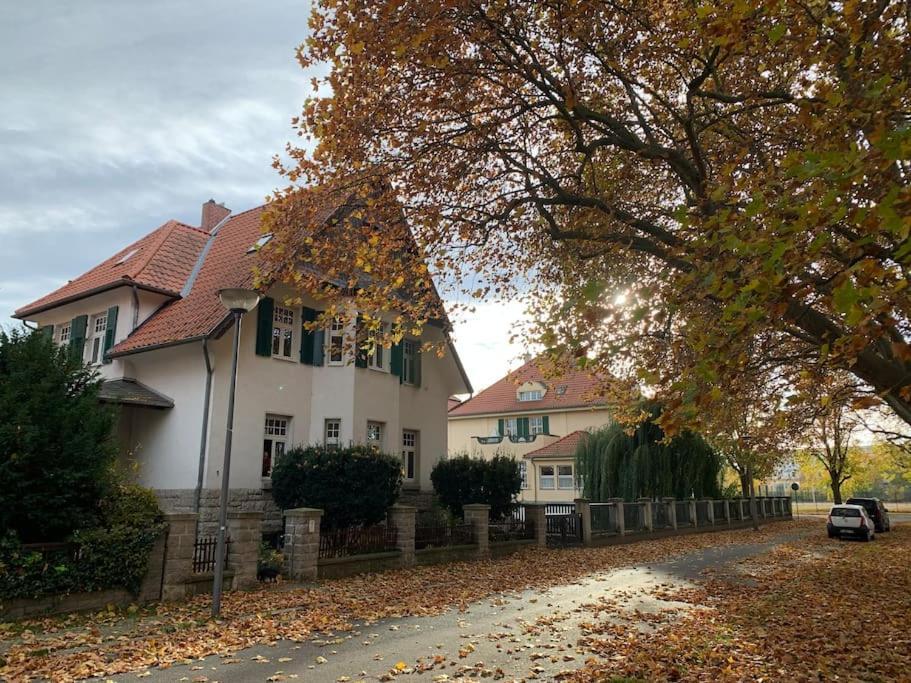 100 Qm Ferienwohnung Am Heiligen Brunnen Quedlinburg Eksteriør bilde
